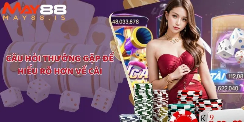 Câu hỏi thường gặp - Giải đáp chi tiết những thông tin nền tảng về nhà cái