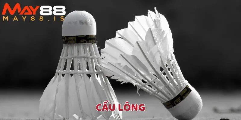 Cầu lông là một hoạt động cho những ai yêu thích tốc độ và sự ổn định