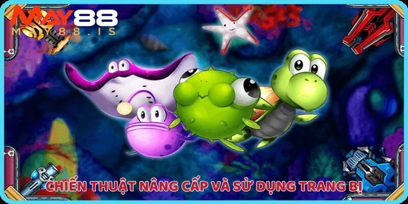 Các chiến thuật nâng cấp và sử dụng trang bị đỉnh cao