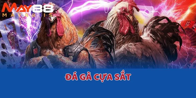 đá gà cựa sắt