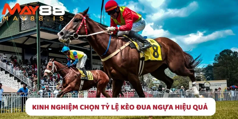 Học hỏi ngay kinh nghiệm chơi từ cao thủ