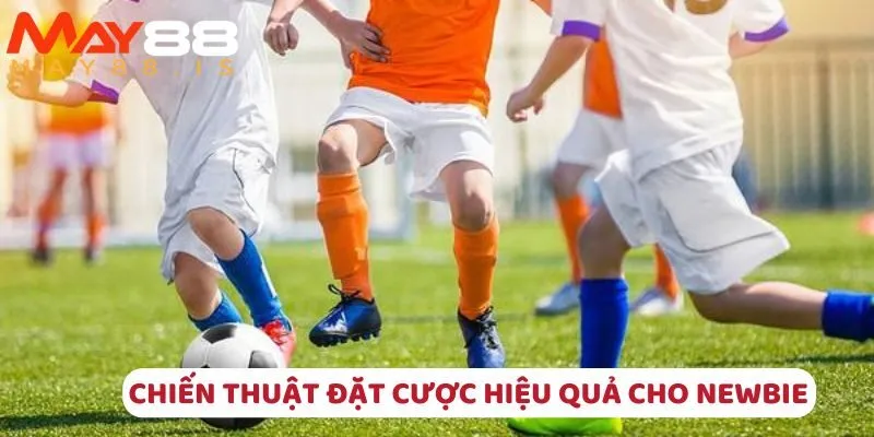 Chiến thuật đặt cược hiệu quả cho newbie
