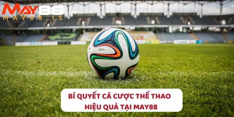 Bí quyết thắng lớn!