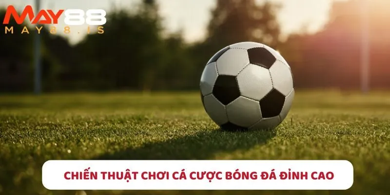 Bí quyết, chiến thuật chơi cá cược bóng đá đỉnh cao