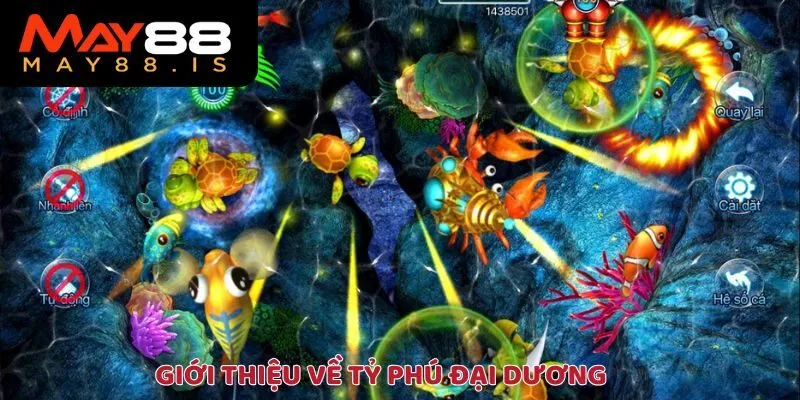 Tỷ phú đại dương có gì?