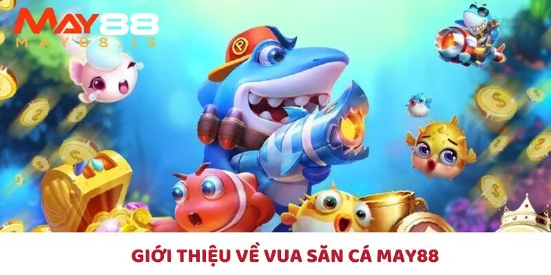 Khám phá vua săn cá có gì?
