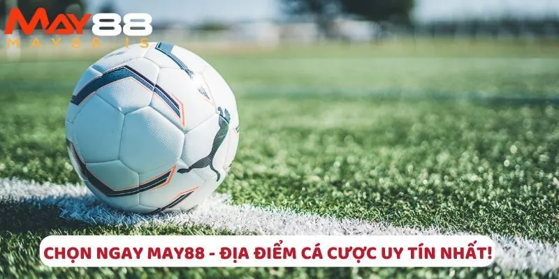 Chọn ngay May88 - Địa điểm cá cược uy tín nhất!