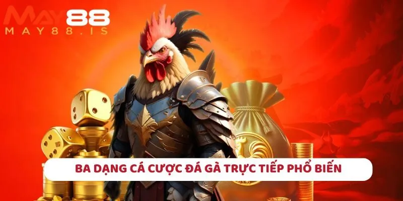 Hé lộ về ba dạng cá cược phổ biến khi tham gia tại May88