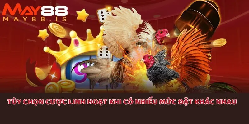 Hội viên hoàn toàn chọn lựa ba cửa với từng mức đặt khác nhau