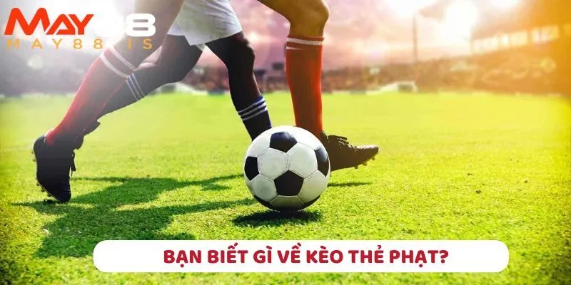 Bạn biết gì về kèo thẻ phạt?