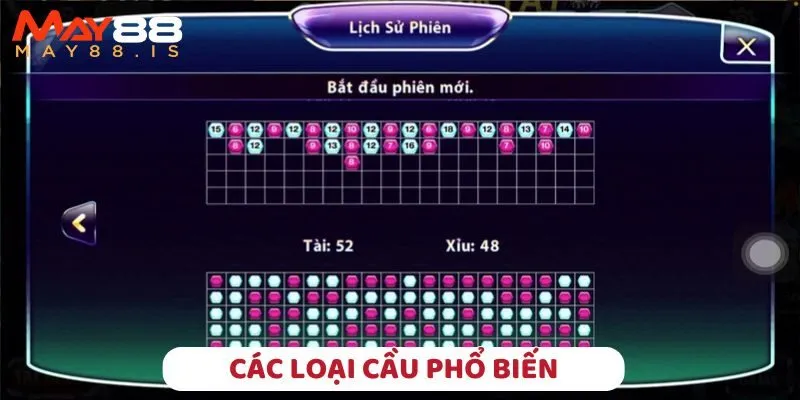 Khám phá các dạng phổ biến