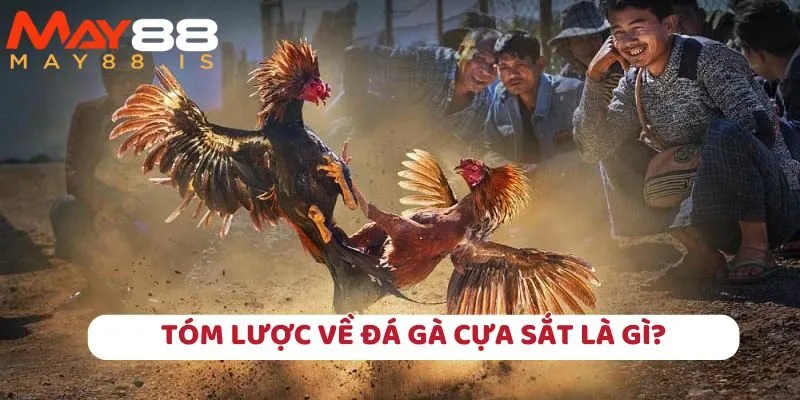 Là hình thức cá cược luôn được thấy ở những sảnh chọi kê