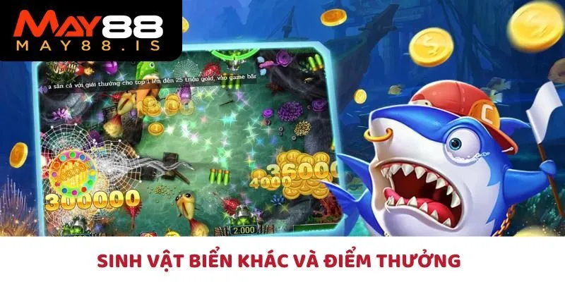 Khám phá các sinh vật biển và điểm thưởng trong tỷ phú đại dương