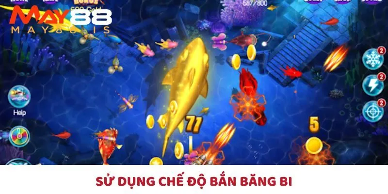 Chế độ băng bi trong tỷ phú đại dương