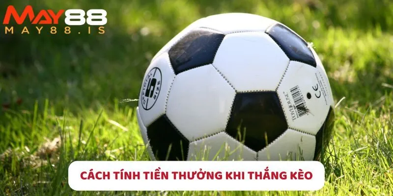 Cách tính tiền thưởng chuẩn xác khi thắng kèo