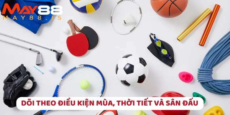 Theo dõi thời tiết và sân đấu trước khi một trận WG Sport diễn ra