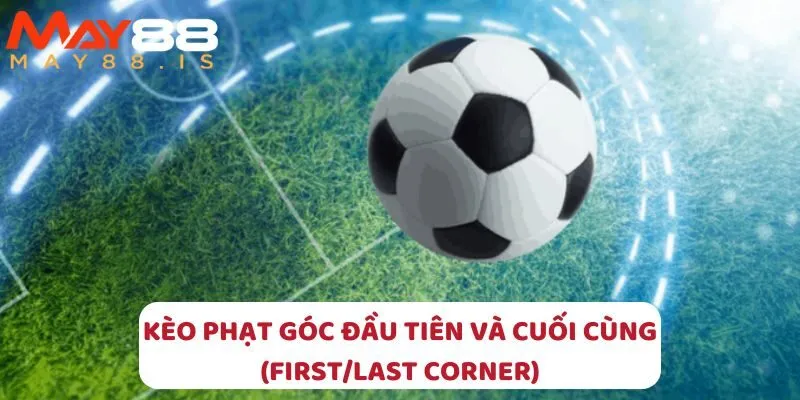 Tham gia cá cược với các loại kèo hấp dẫn!